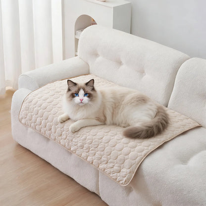PETART Pet Cooling Mat – Instant Comfort for Dogs & Cats 🐾