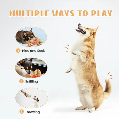 Snuffle Mat Dog Enrichment Toy