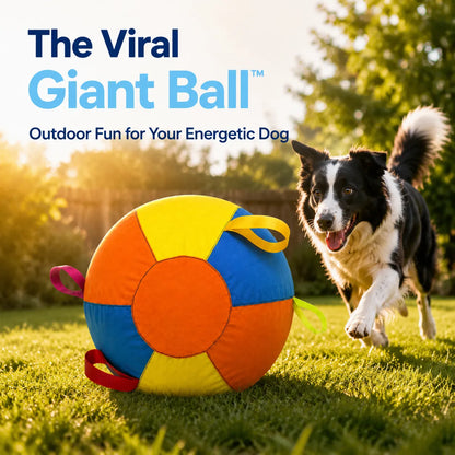 PETART Viral Giant Ball – Interactive Dog Play Ball