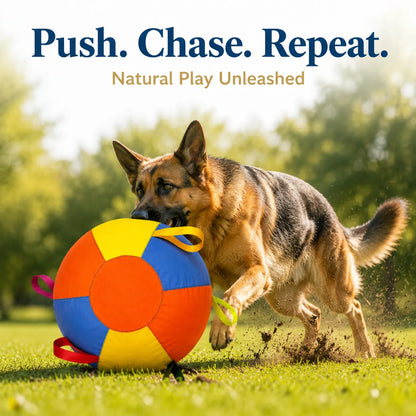 PETART Viral Giant Ball – Interactive Dog Play Ball