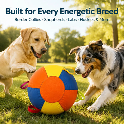 PETART Viral Giant Ball – Interactive Dog Play Ball