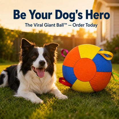 PETART Viral Giant Ball – Interactive Dog Play Ball