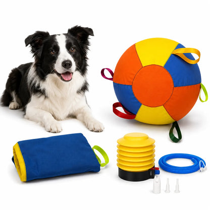 Herding ball for dogs blue durable outdoor play ball set with spare cover, pump accessories, and large dog on white background