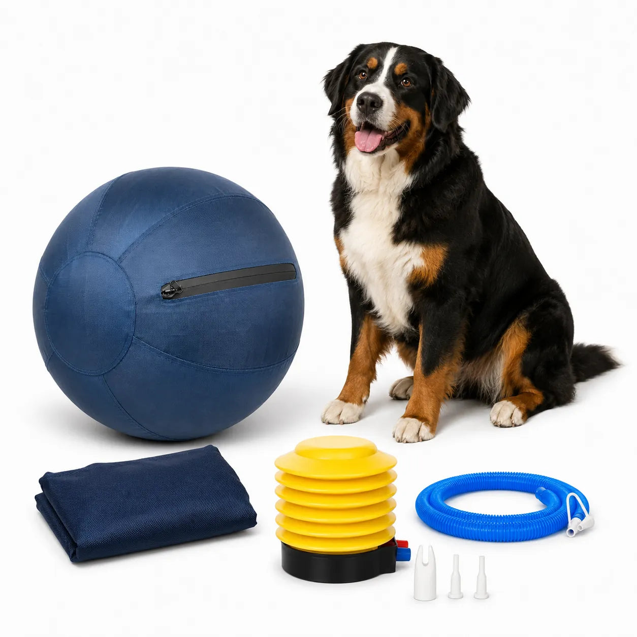 Herding ball for dogs colorful giant ball set with spare outer cover, pump accessories, and Border Collie on white background