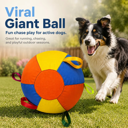 Colorful giant dog ball for chasing and pouncing during outdoor play