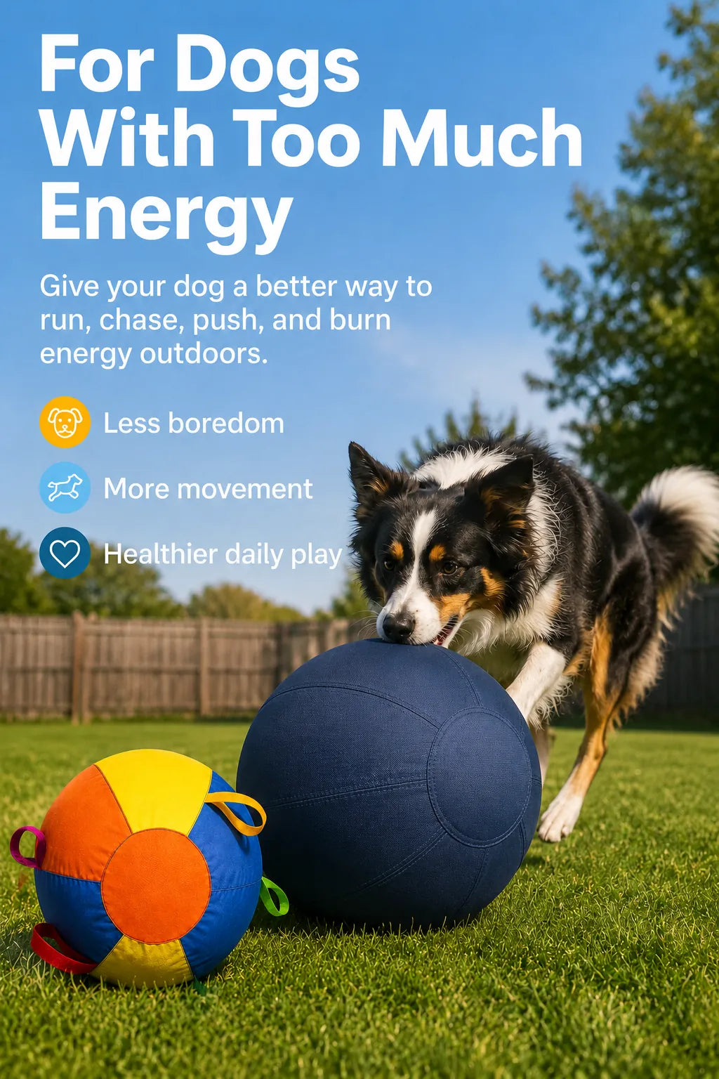 Active dog using a large outdoor ball for energy-burning play