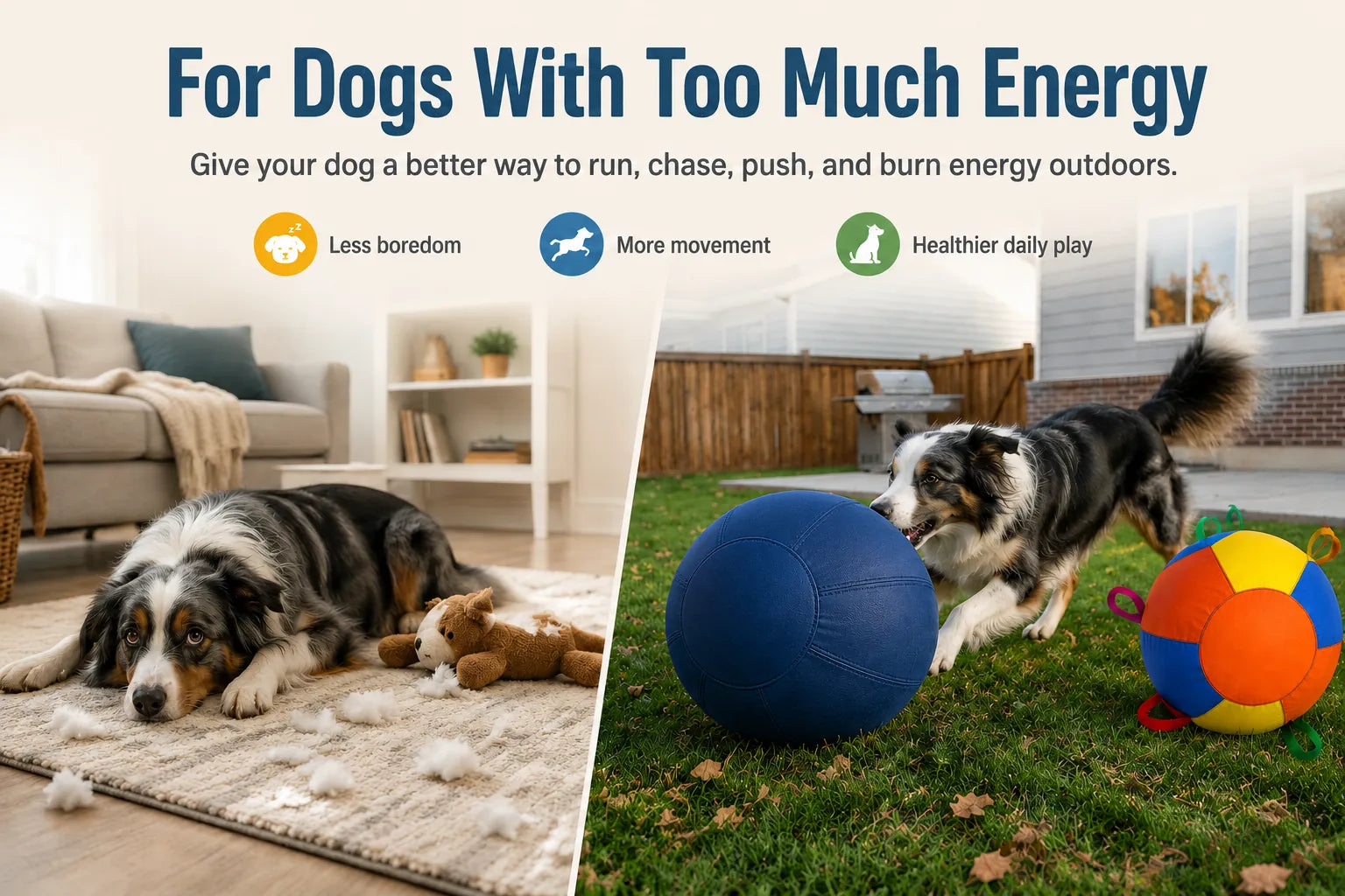 High-energy dog playing outdoors with a large interactive dog ball