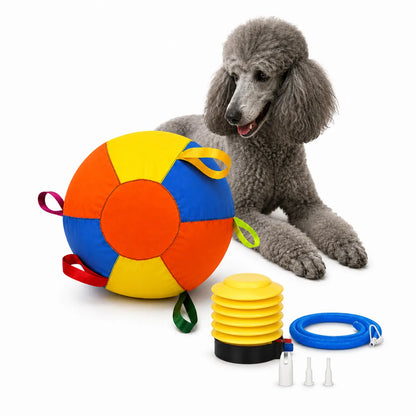 Gray poodle lying beside a colorful herding ball for dogs with pump accessories