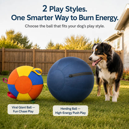 Two dog ball play styles showing chase play and herding play outdoors