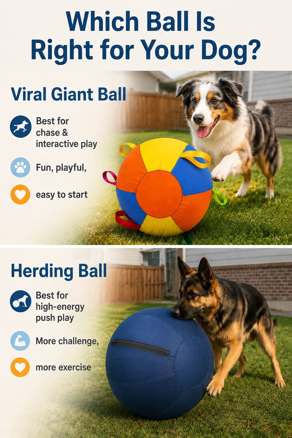 Side-by-side guide comparing giant dog ball and herding ball choices