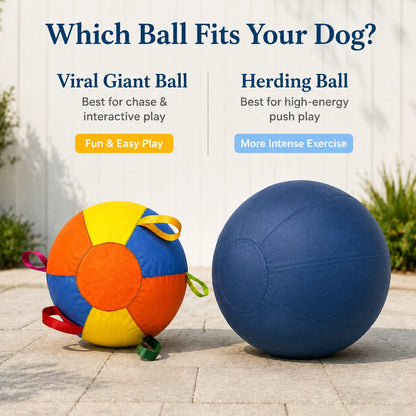 Comparison chart showing which dog ball fits different play styles