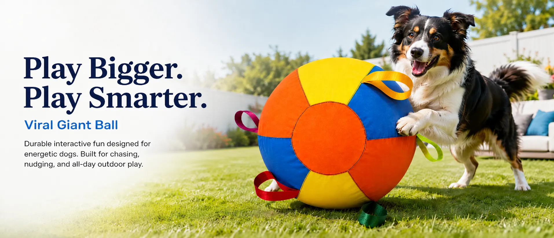 A dog playing outdoors with a colorful PETART giant ball